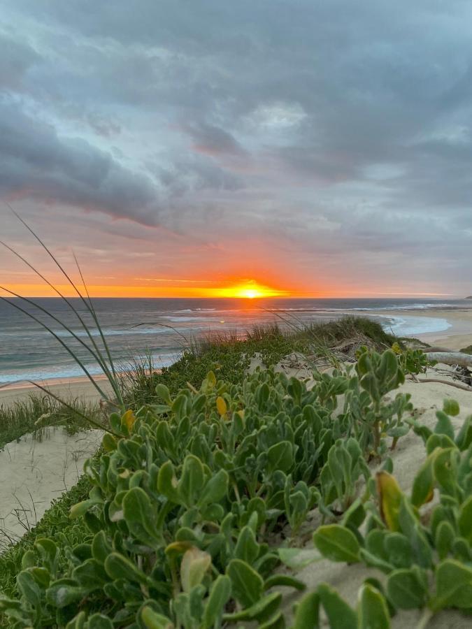 Soutelande Country Stay - Close To 1#Beach In Pe Port Elizabeth Exteriör bild