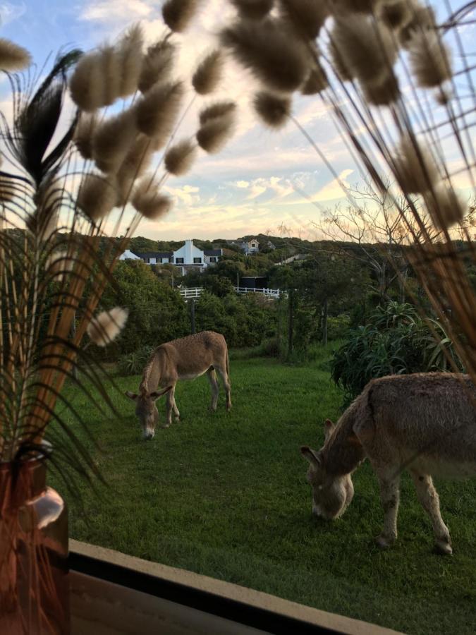 Soutelande Country Stay - Close To 1#Beach In Pe Port Elizabeth Exteriör bild