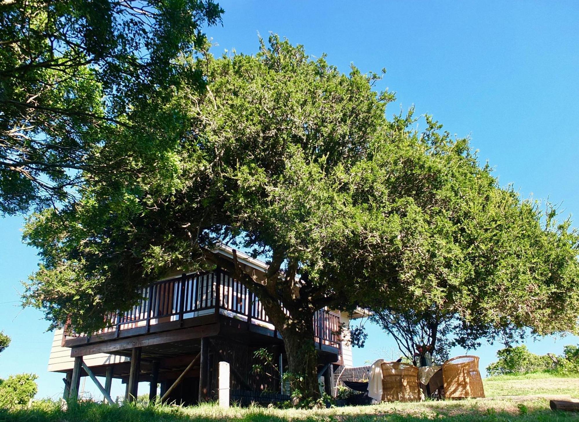 Soutelande Country Stay - Close To 1#Beach In Pe Port Elizabeth Exteriör bild