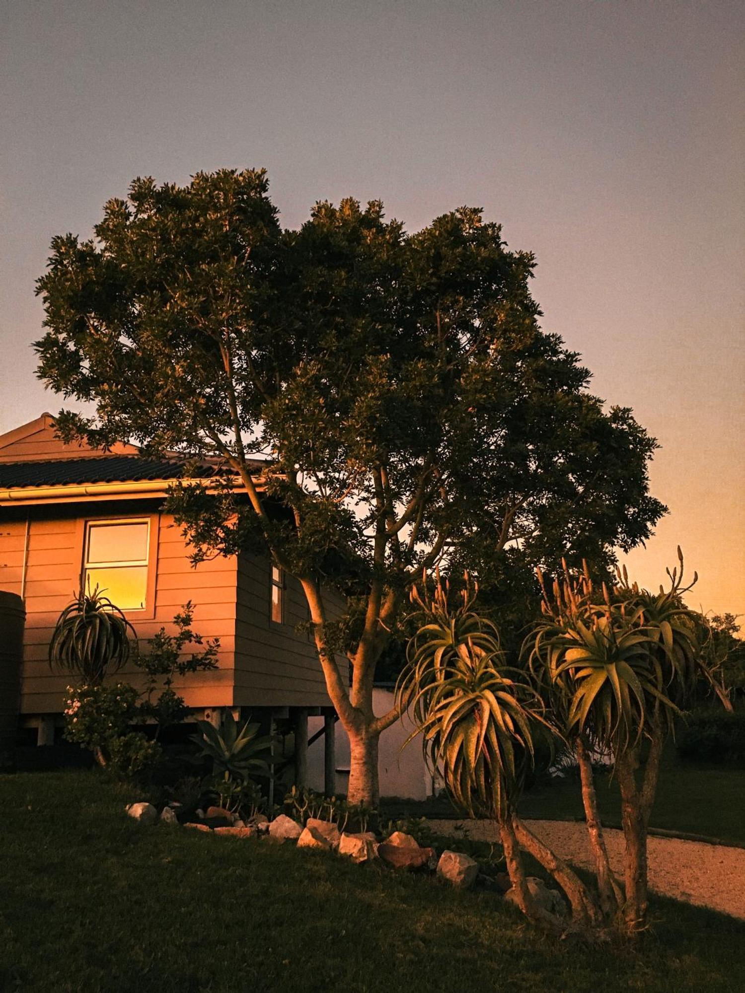 Soutelande Country Stay - Close To 1#Beach In Pe Port Elizabeth Exteriör bild