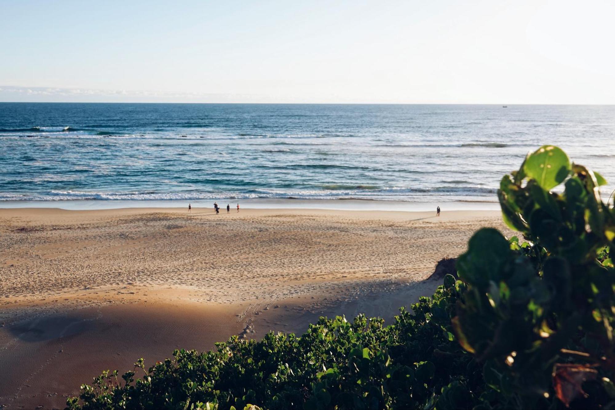 Soutelande Country Stay - Close To 1#Beach In Pe Port Elizabeth Exteriör bild