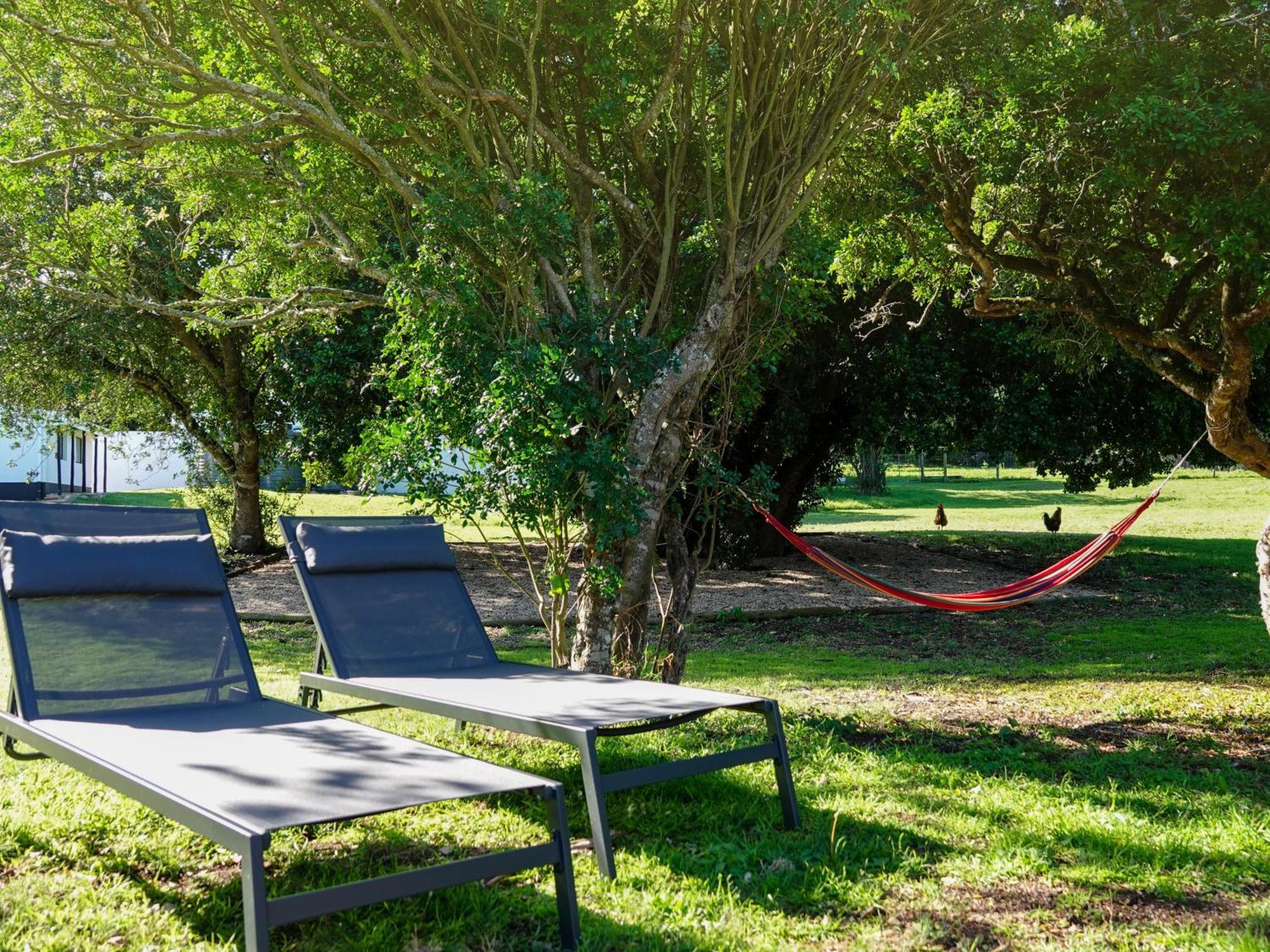 Soutelande Country Stay - Close To 1#Beach In Pe Port Elizabeth Exteriör bild